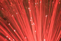 Business Fibre Broadband